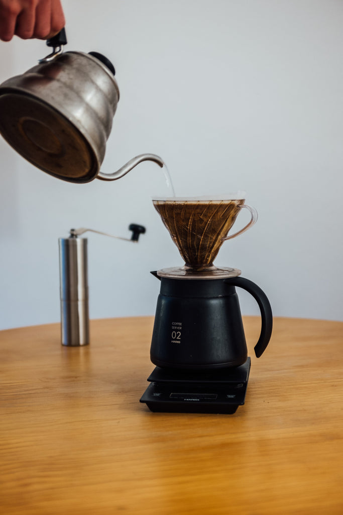 Single Cup Drip Filter